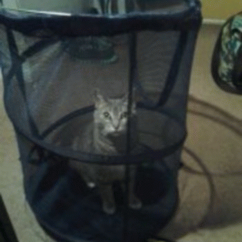 Sloth (USA-2) : Evil Jerk in Jail